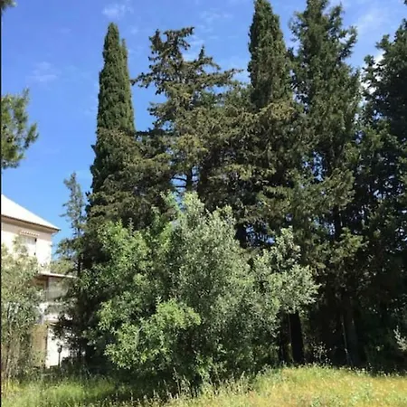 Salomi Lefkada City